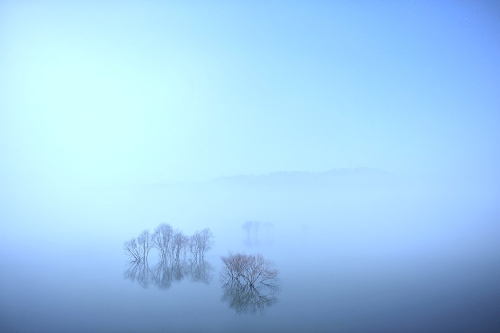 夜霧のカタルシス Catharsis of the night fog