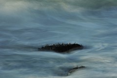 Undulation