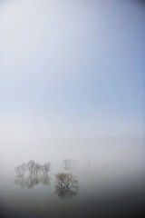 濃霧のカタルシス 