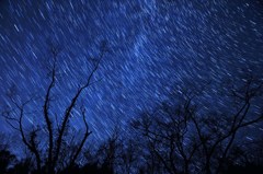 Blizzard of the star