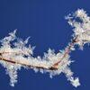 屋根の上の雪ポニョ？