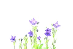 夏の途中のMetaphysics