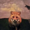 新しいモデル