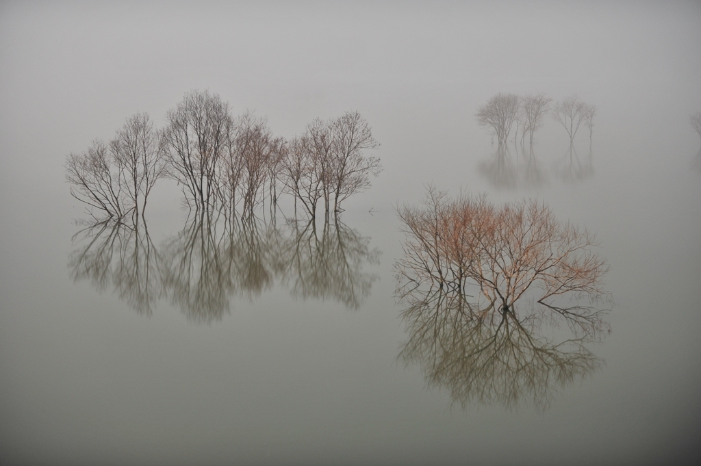 Fog elusive