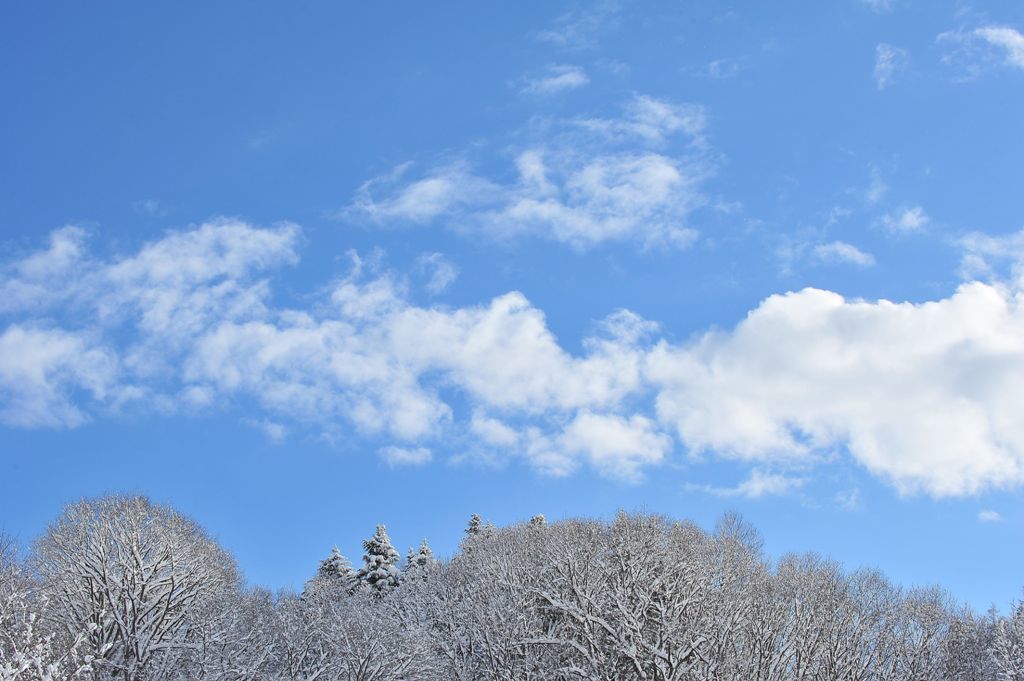 風雪一過