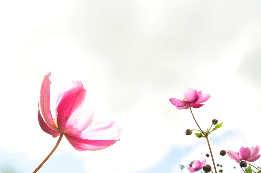 End of summer