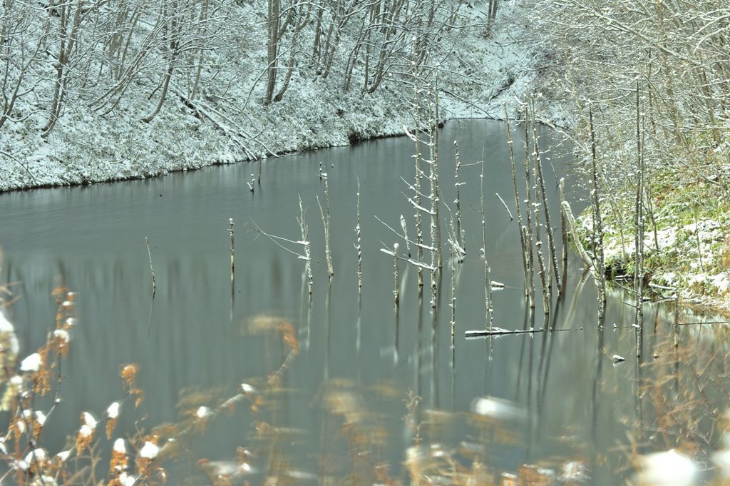 Winter moments