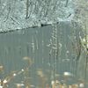Winter moments