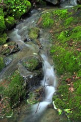 Clear stream
