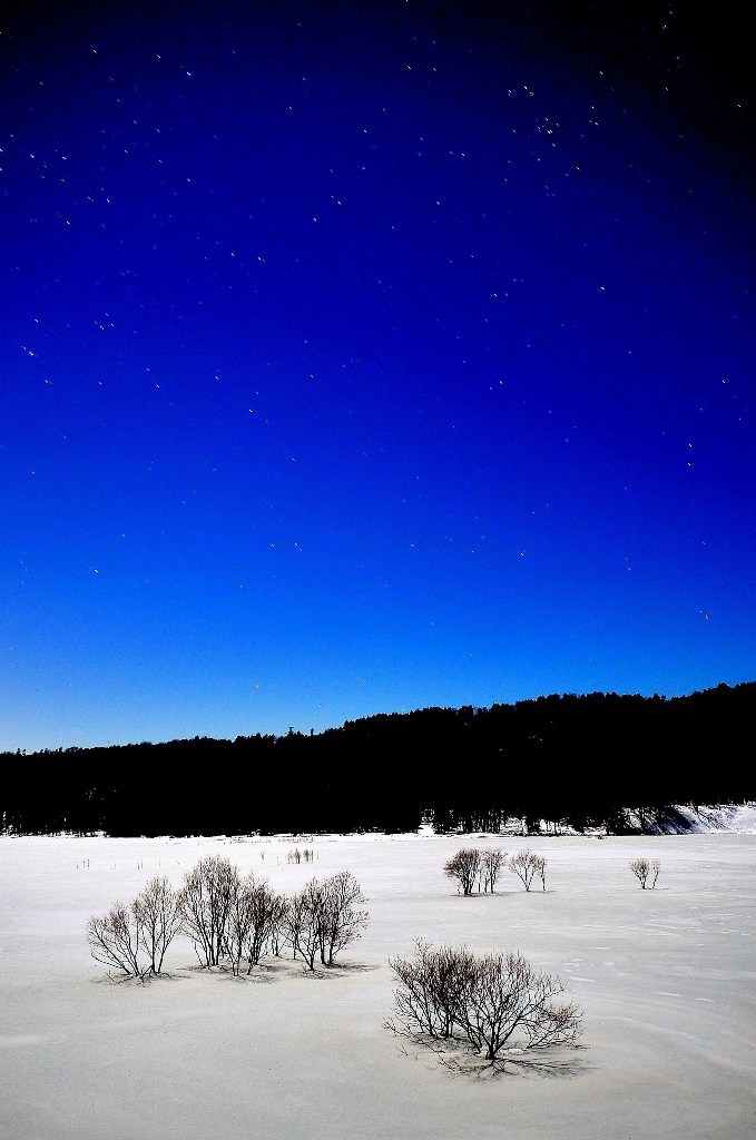 Blue night of sacred place 　蒼い夜の聖地