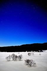 Blue night of sacred place 　蒼い夜の聖地