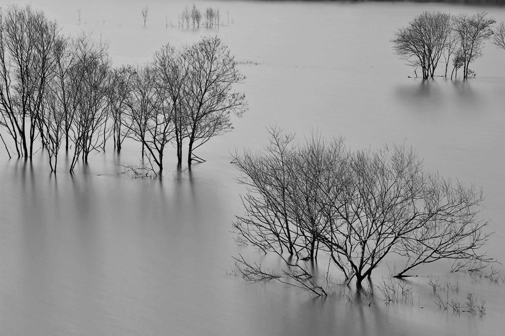 Shadow of the water surface