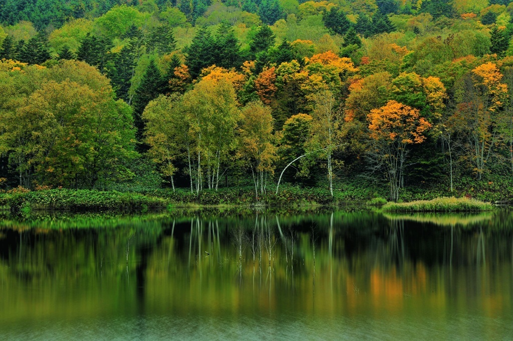 Autumn story