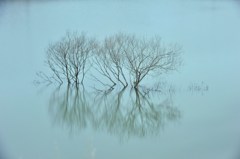 共に