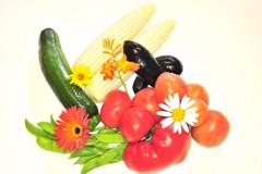 vegetable photo