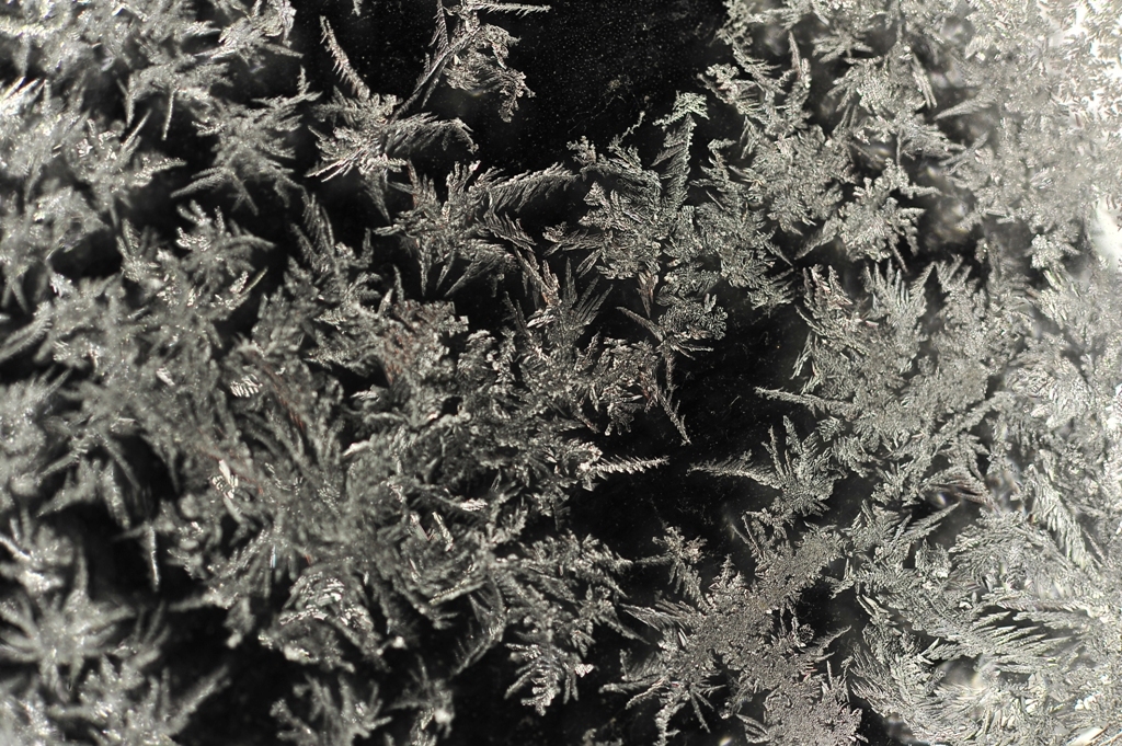 屋根の上の雪ポニョ　今日は断念＞＜