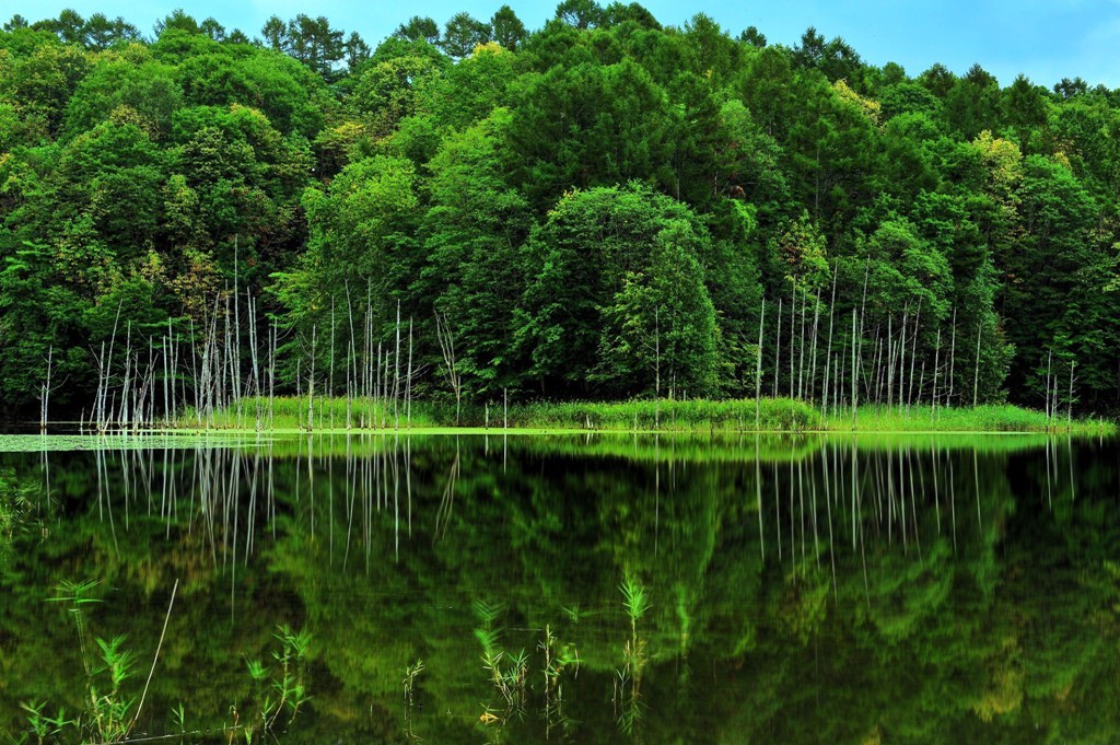 An unexplored area