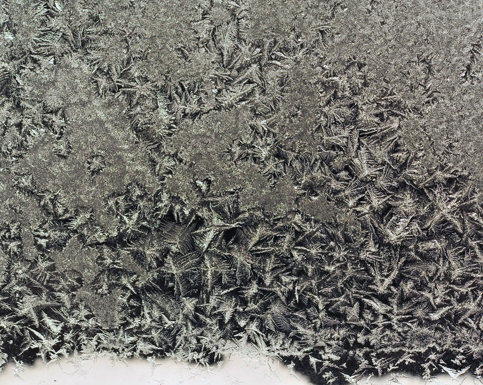 Winter Sparkle