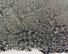 Winter Sparkle