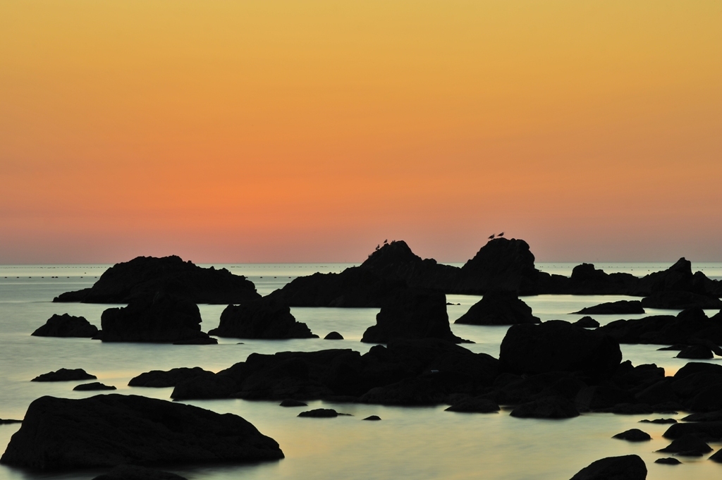 The languid summer time gradation
