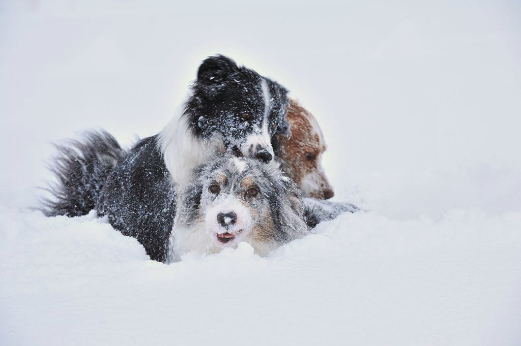 雪遊び