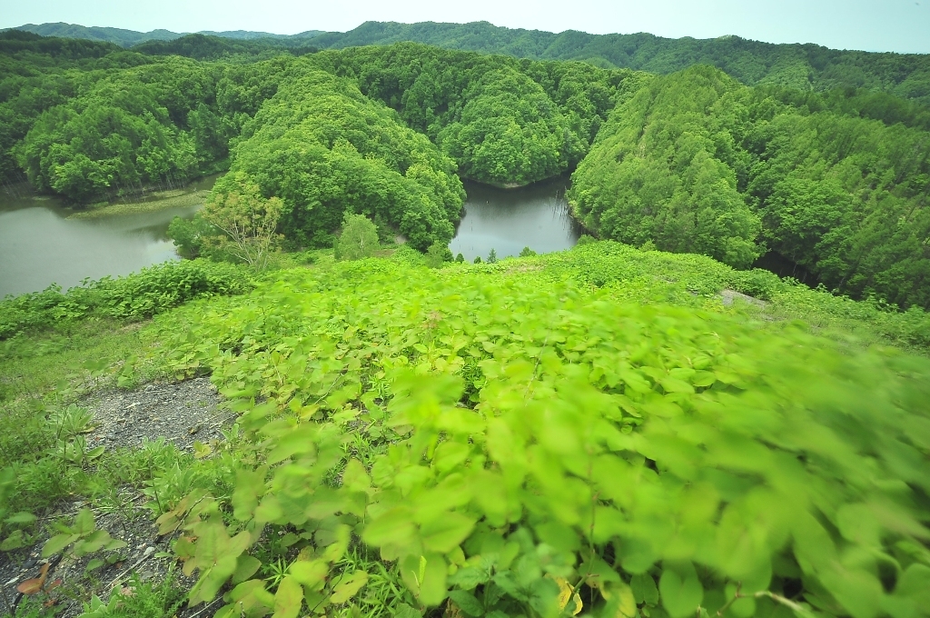 ズリ山よりの眺望 - 海抜230m