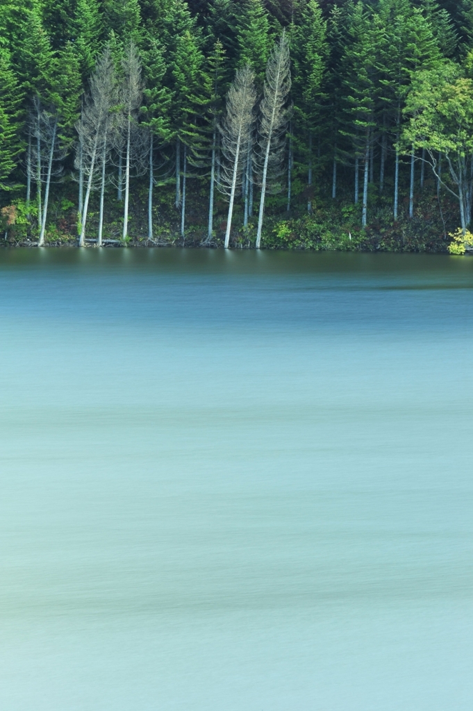Shade of the water