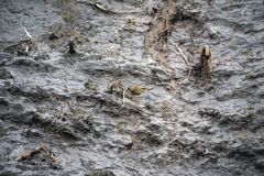 Weathered wall