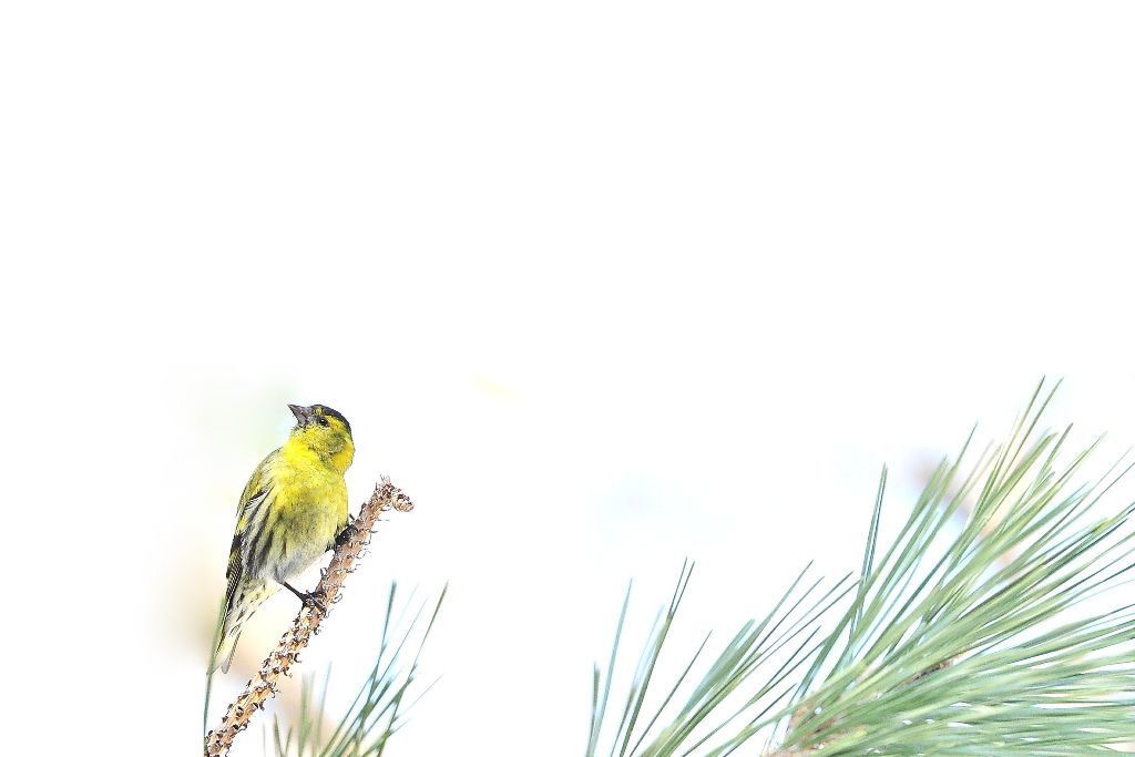 Happy Birthday To Me