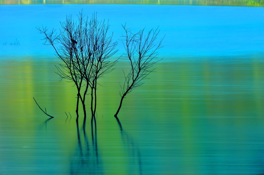 Desire for deepblue　つのる欲望