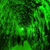 翠緑の回廊