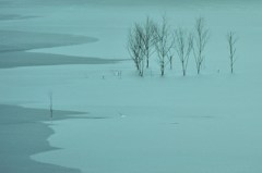 氷雪原野