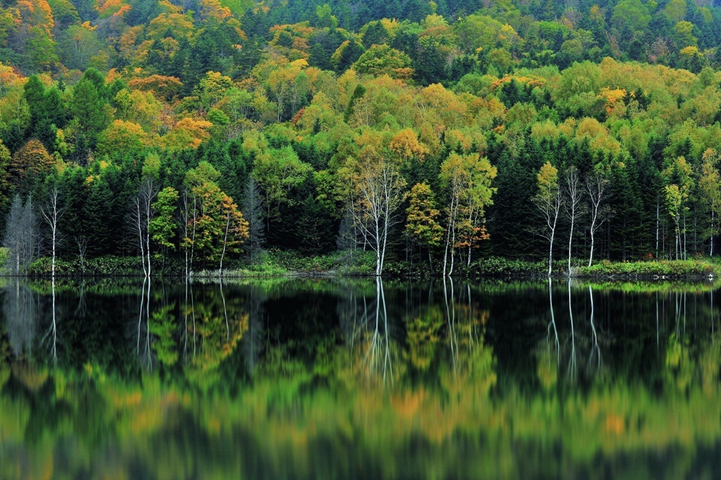 Entrance to an autumn story
