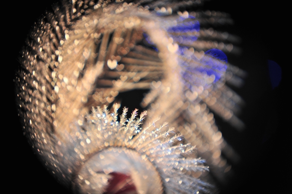 Heart on an ostrich feather and a drop