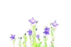 Playlist of May