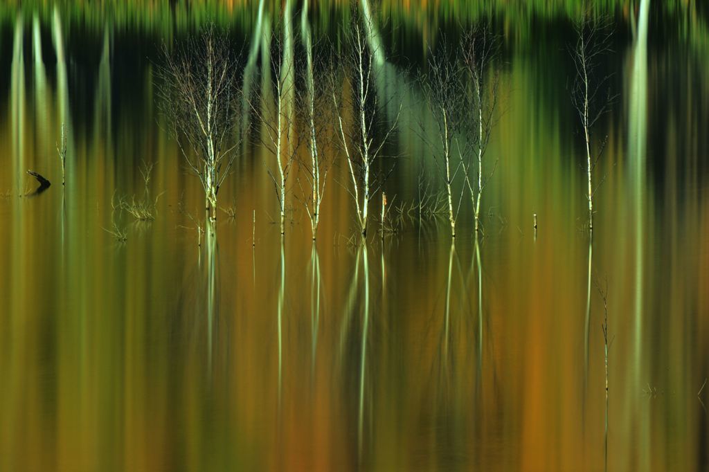 Palette of the autumnal scenery