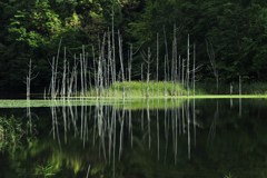 クンネチュプの末裔