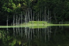 クンネチュプの末裔