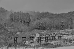 Lost ruins
