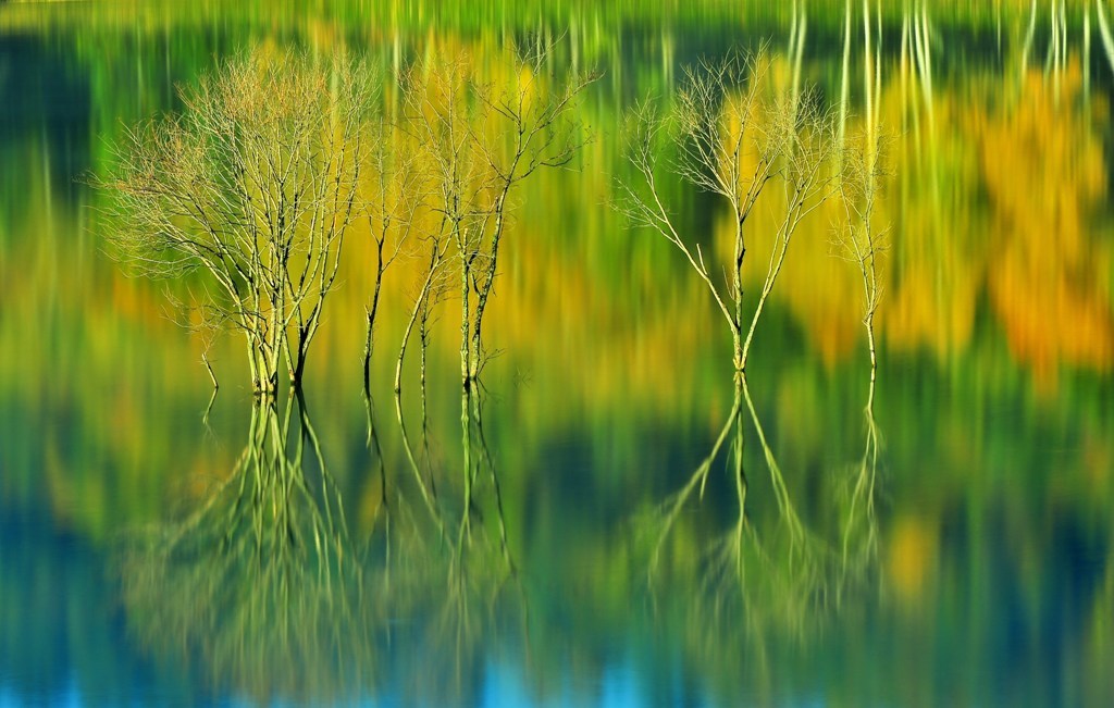 Palette of the autumnal scenery