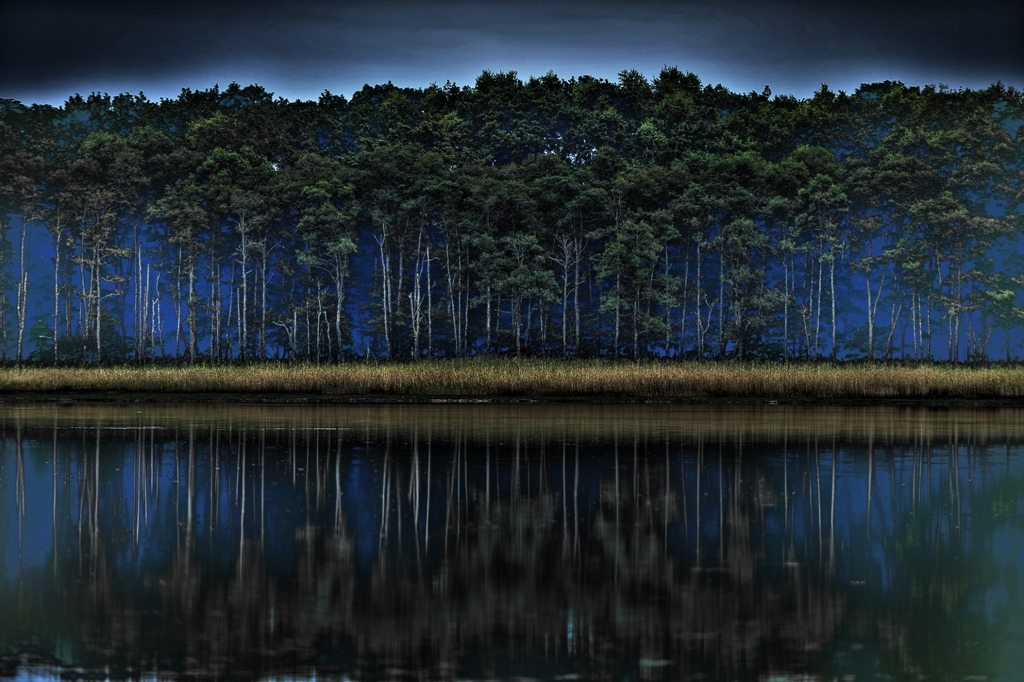 Doubtful forest