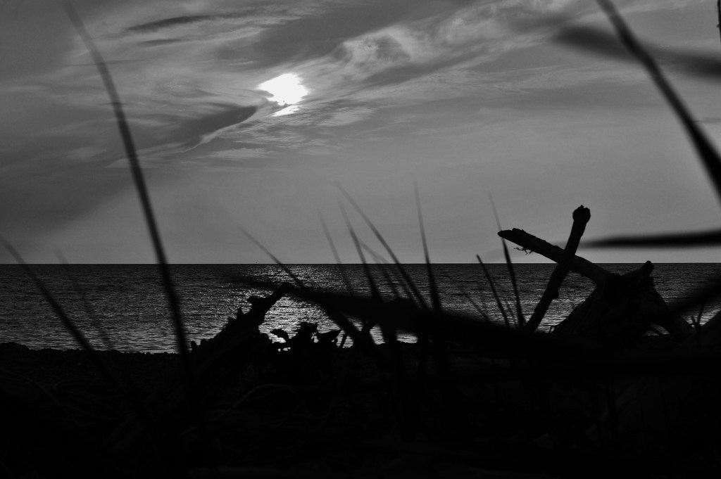 Shade of the blade of grass
