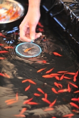すくい～の