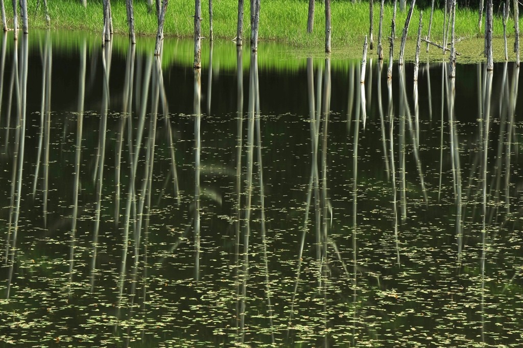 驟雨