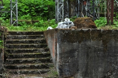 遺構のひとかけら