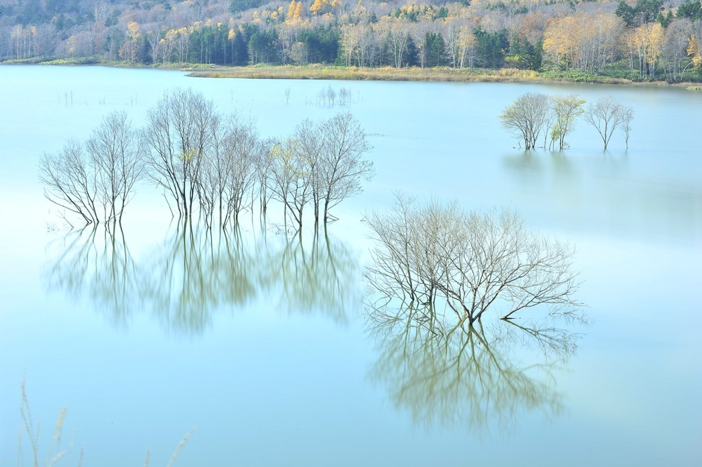 晩秋 : Late fall