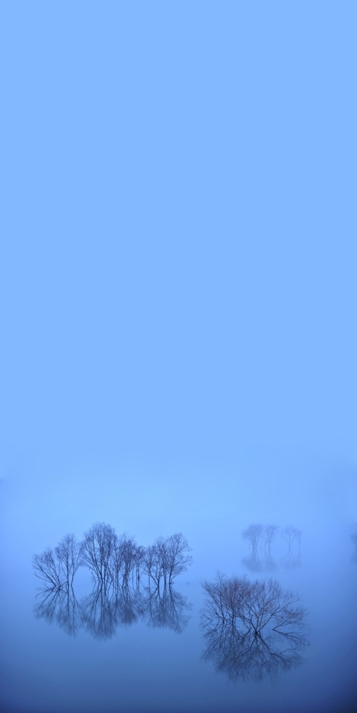 Blue fog elusive　掛け軸Format
