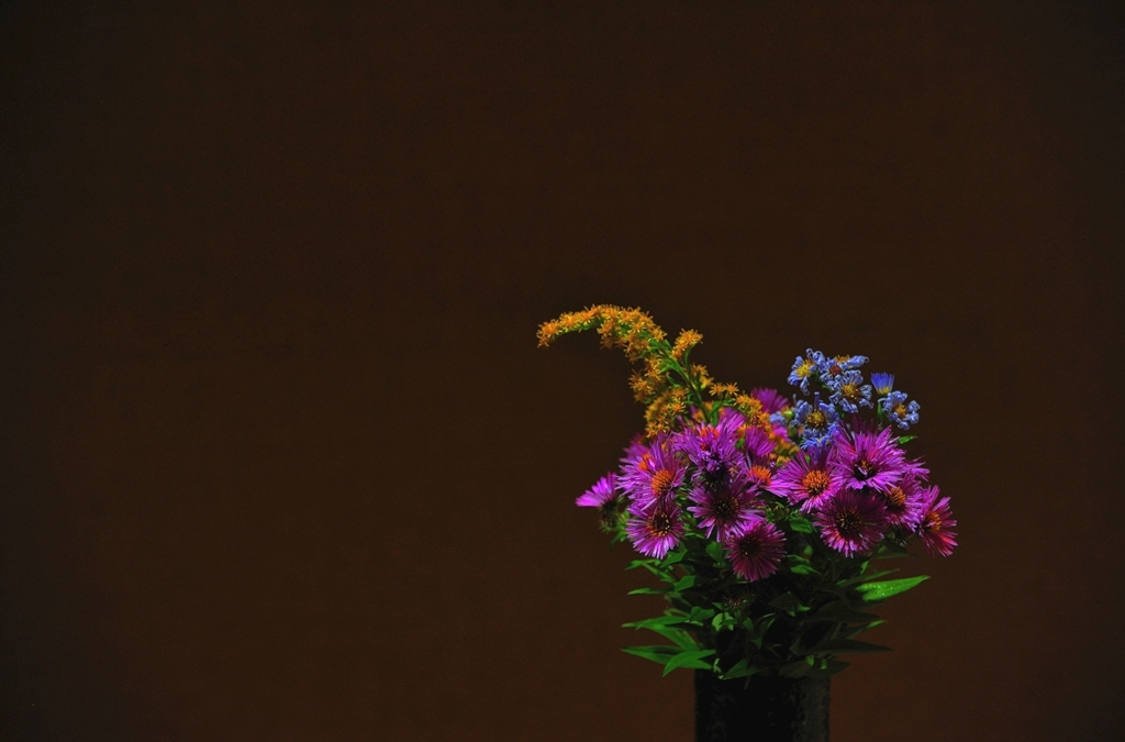 野の花