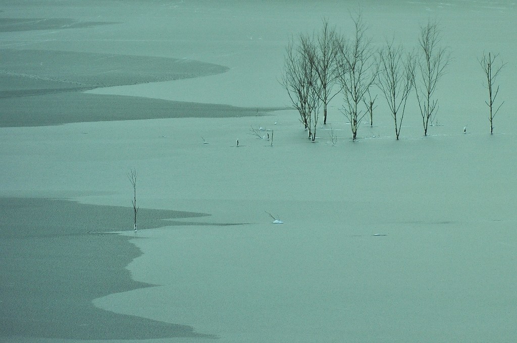 氷雪原野　 The ice and snow wilderness