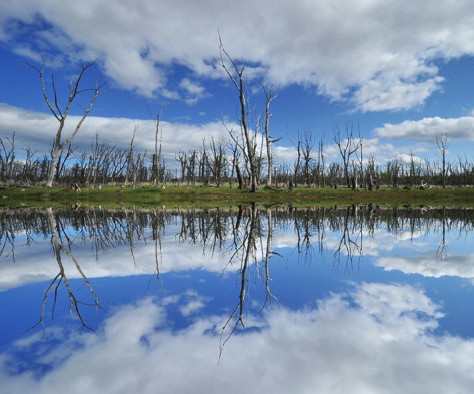 Mirror of nature